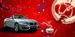 宝马BMW 2系敞篷车