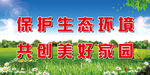 环境政治