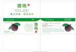 杨梅包装