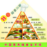 中国营养膳食金字塔