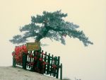 华山风光
