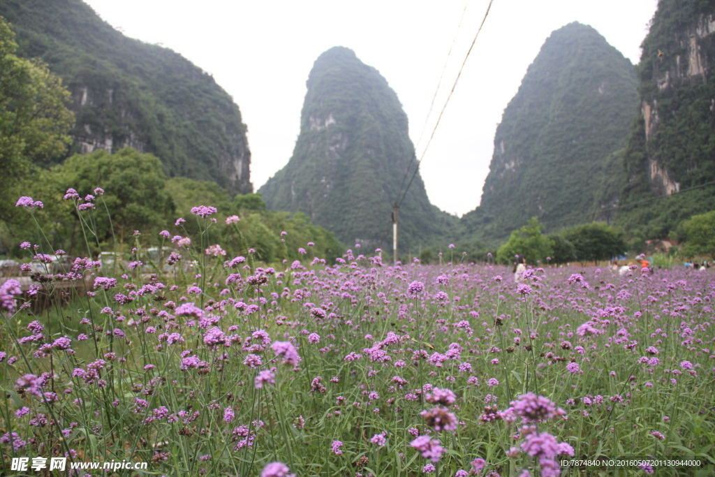 桂林