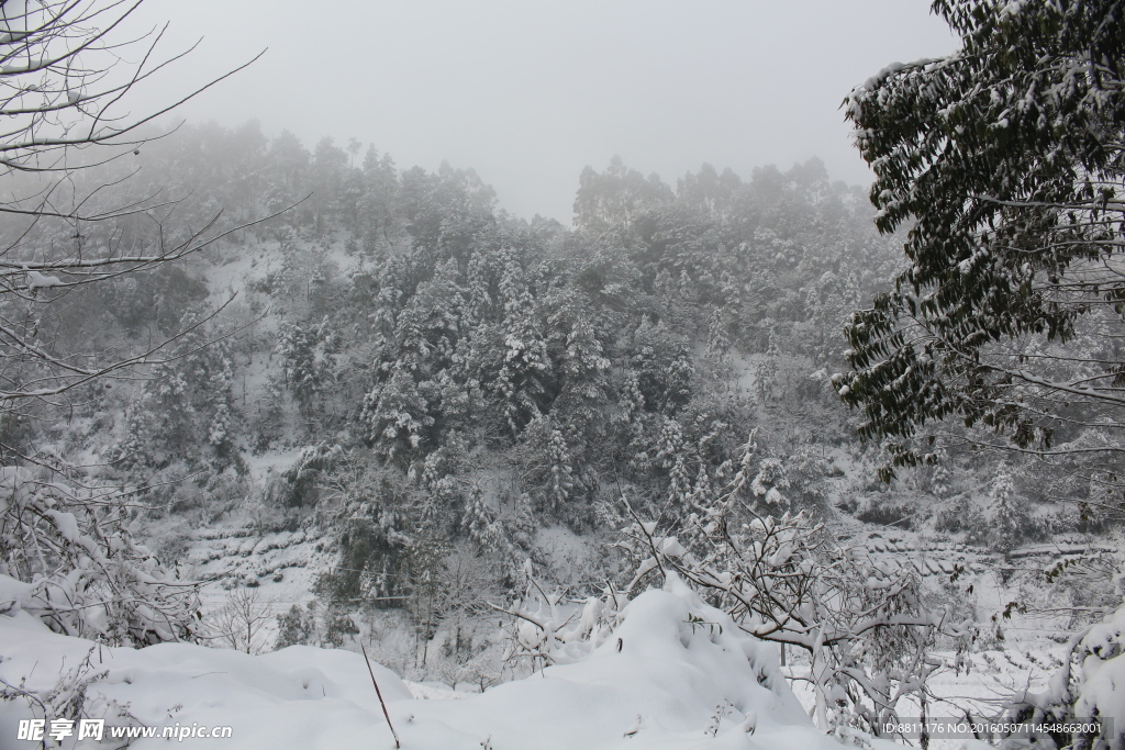 雪景