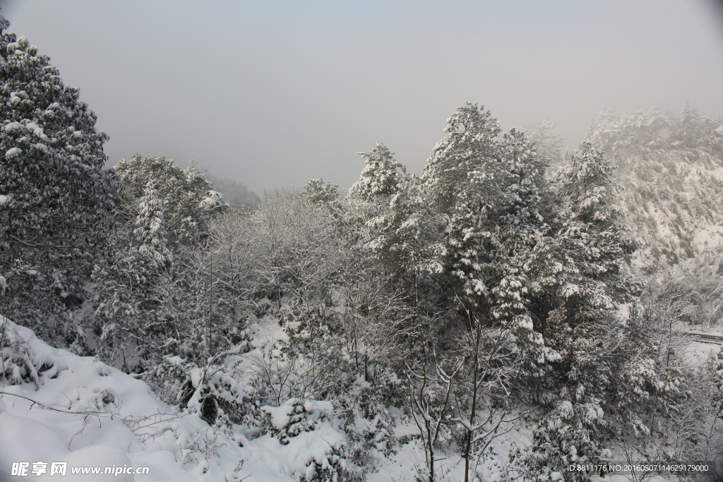 雪景