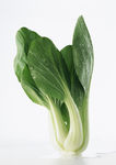 蔬菜