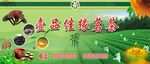 茶叶宣传栏