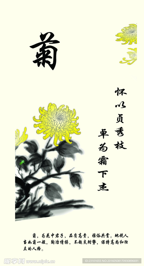 菊