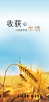 企业文化展板