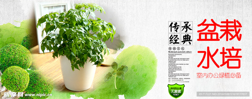 盆栽水培海报设计