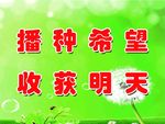 播种希望
