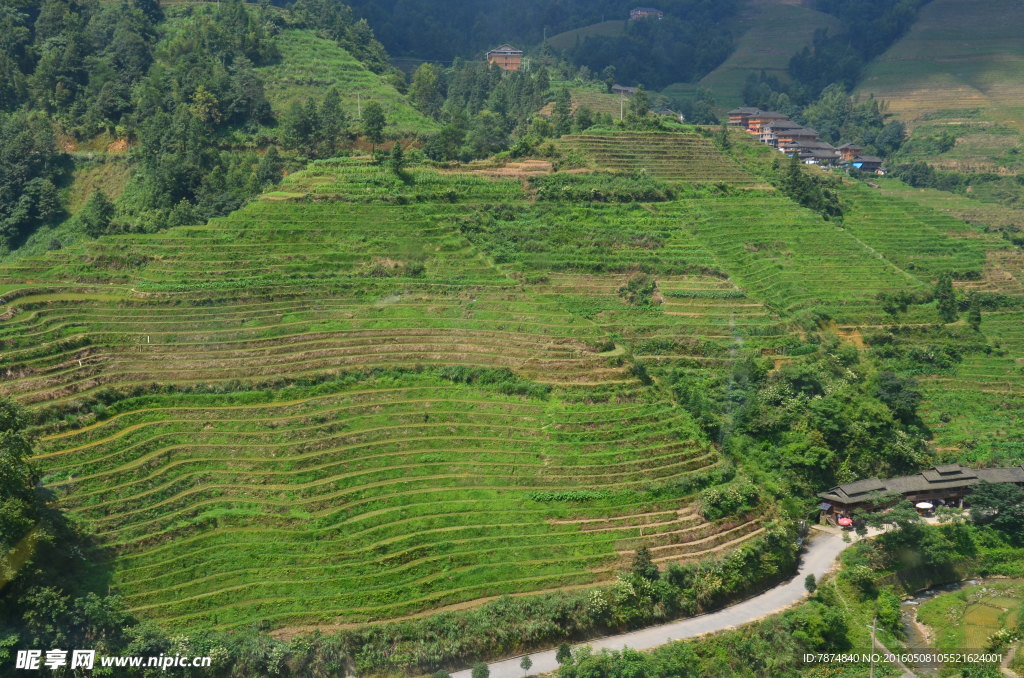 龙脊梯田