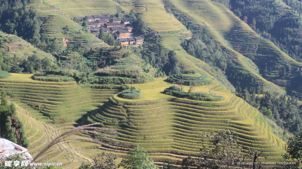 龙脊梯田