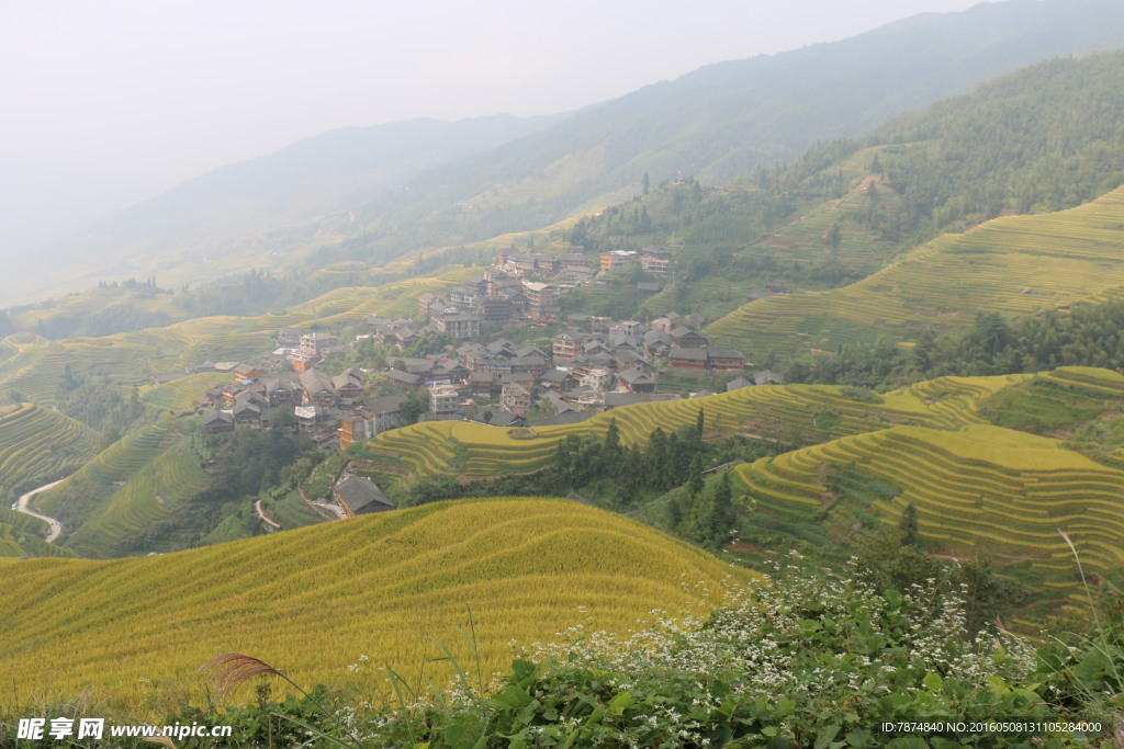 龙脊梯田