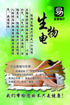 生物电
