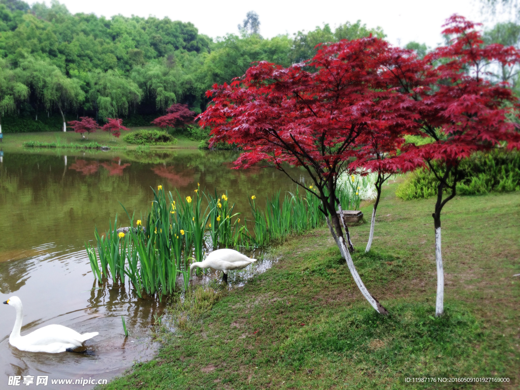 重大风景
