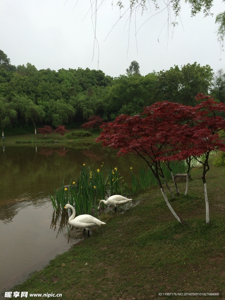 重大风景