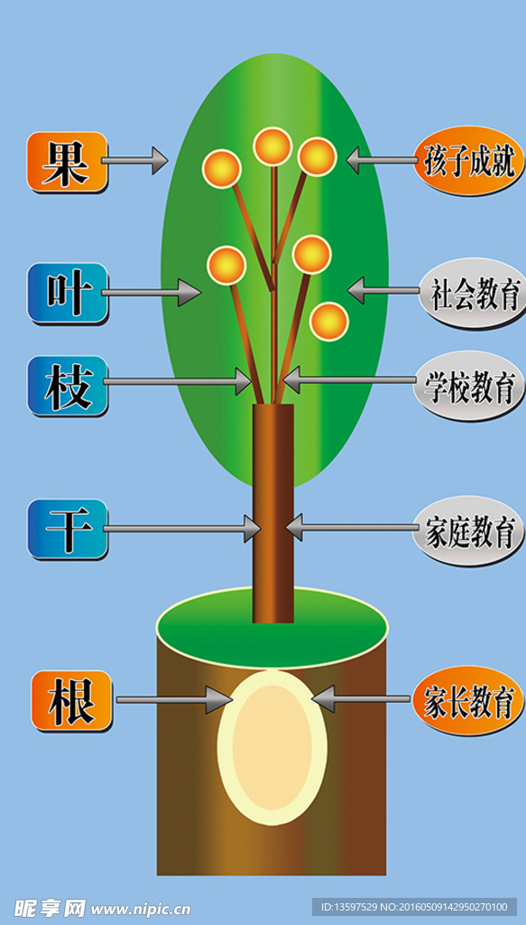 教育树