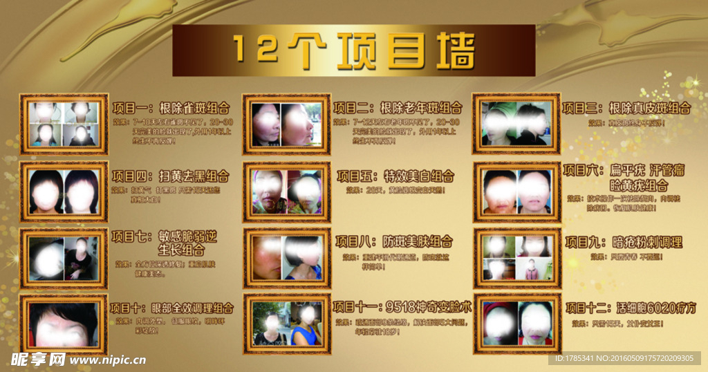 神奇魔斑品琪12个项目