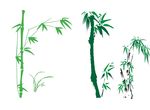 端午节竹子