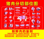猪肉分割图