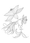 AI精美线描插画