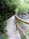绿树栏杆