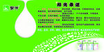 蒙牛阳光承诺
