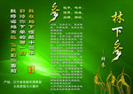 林下参
