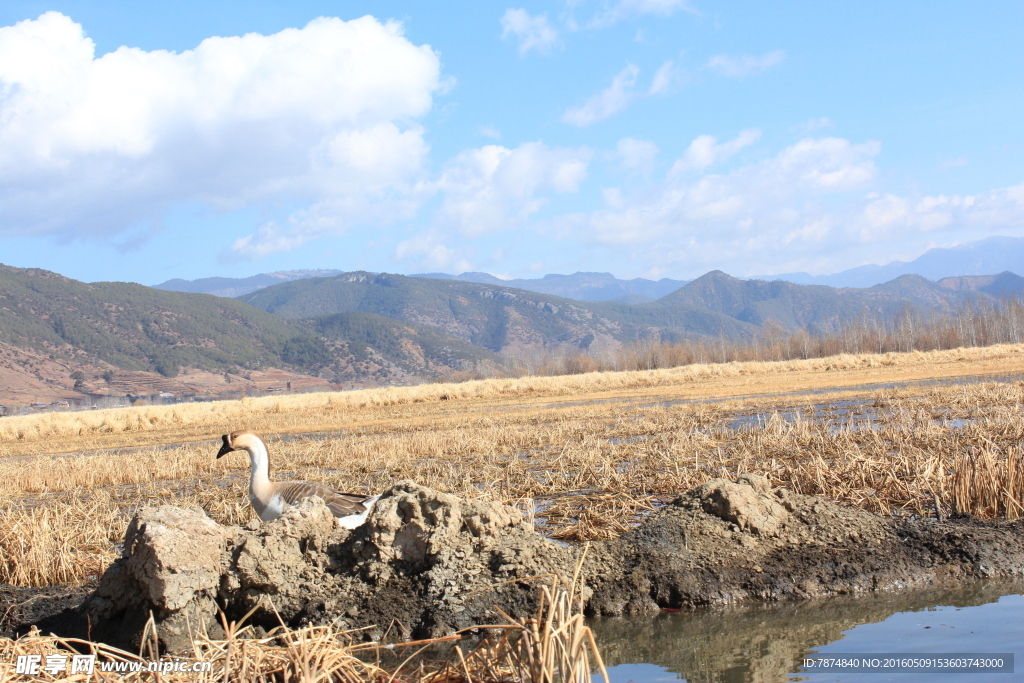 泸沽湖