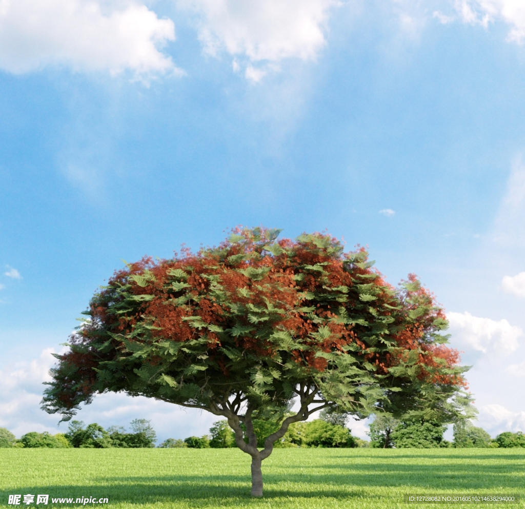 树木模型