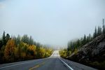 丛林  公路