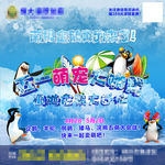 南极企鹅