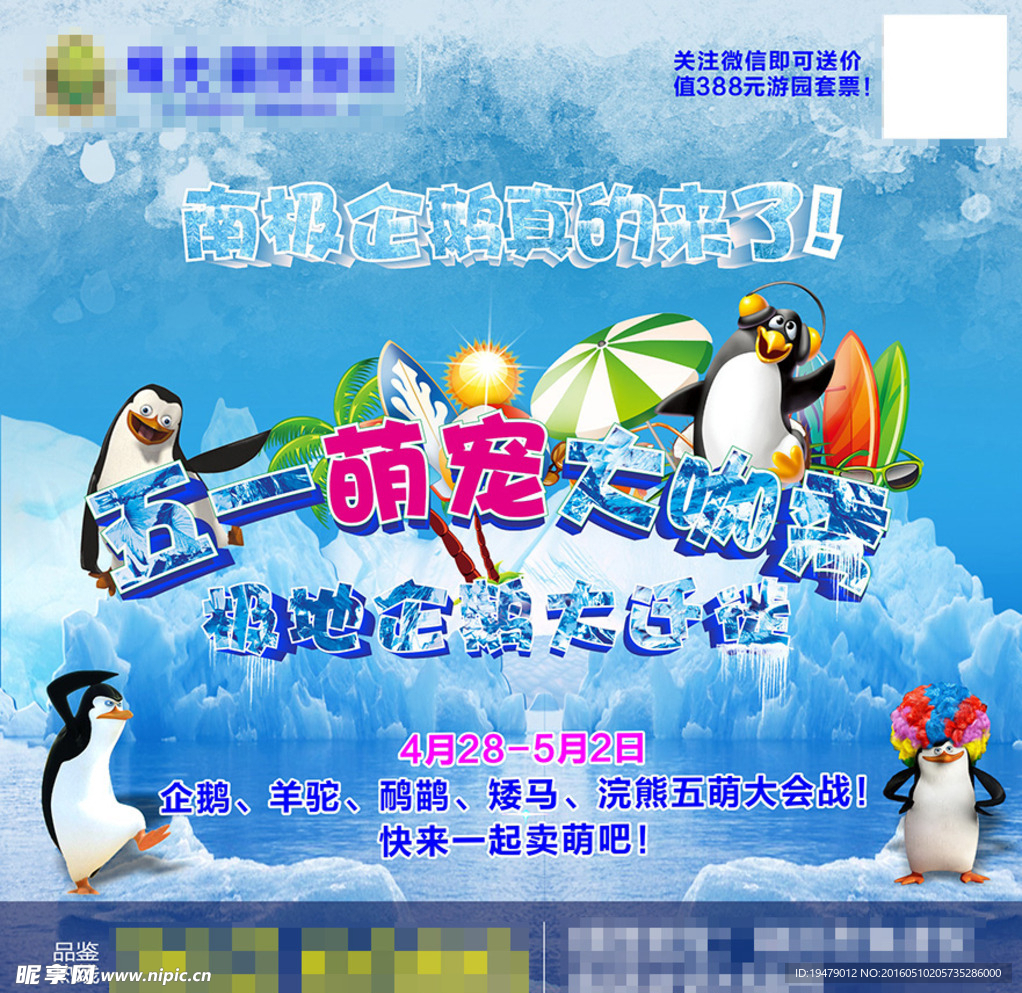 南极企鹅