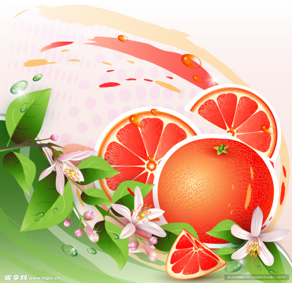 水果橘子素材1