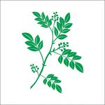 矢量草药