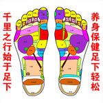 足底穴位
