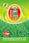 油菜包装
