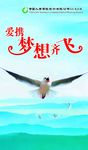 中国人寿 爱携梦想齐飞