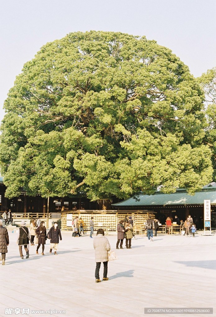 胶片日本