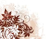 花纹