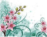 花纹