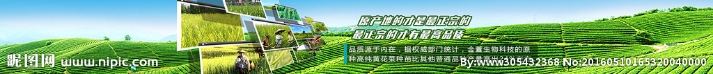 科技农业Banner