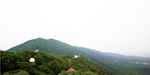 紫金山景区