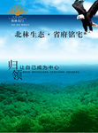 绿色森林