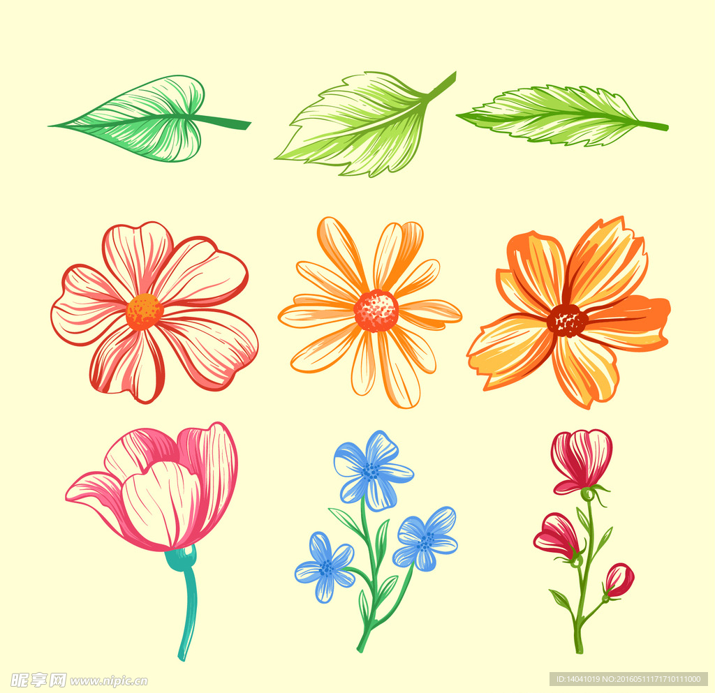手绘各种花和叶