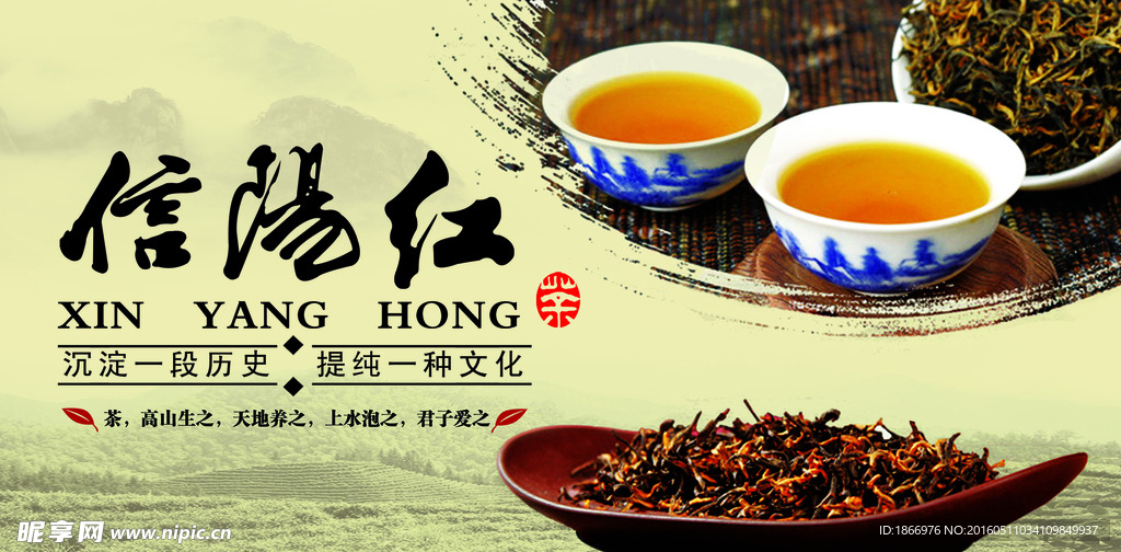 信阳红茶叶文化宣传