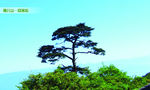 桂林猫儿山景区