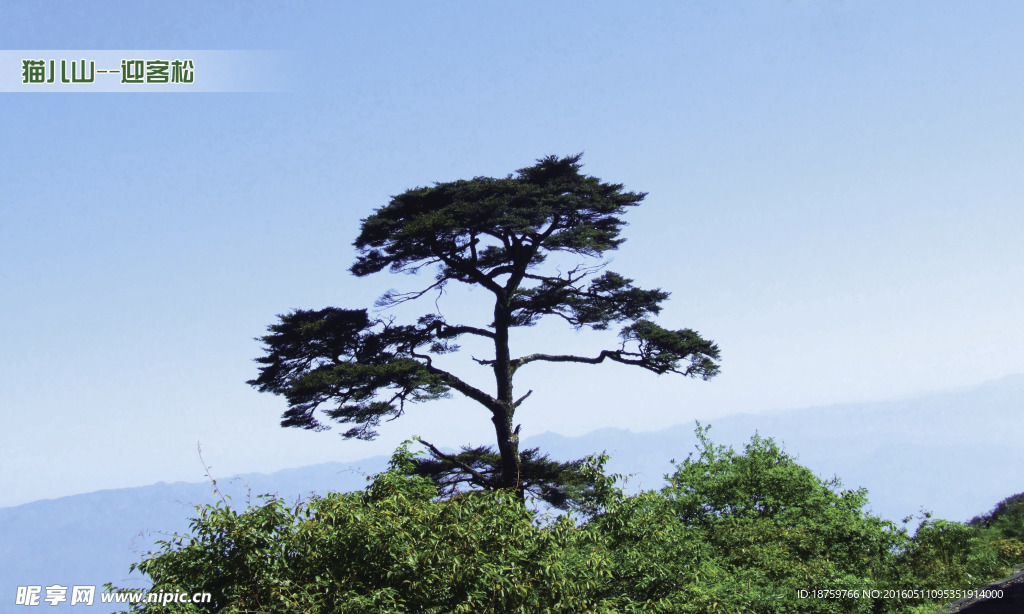 桂林猫儿山景区