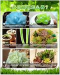 多肉植物怎么养展板知识宣传