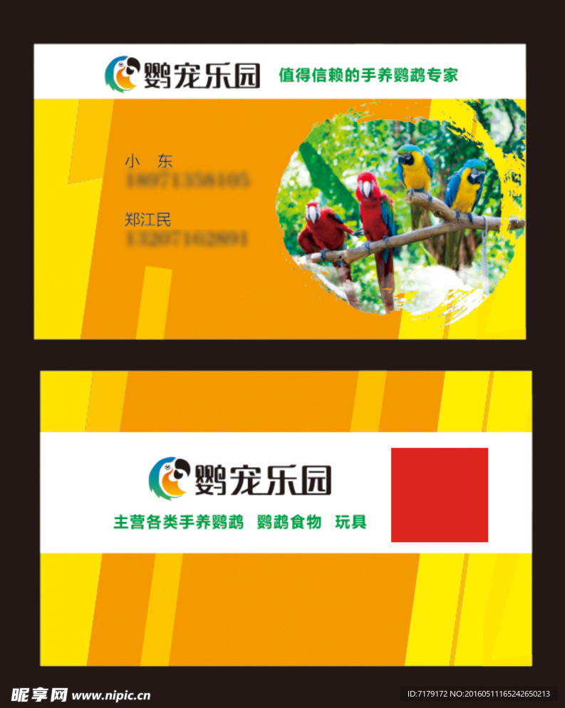 鹦鹉名片